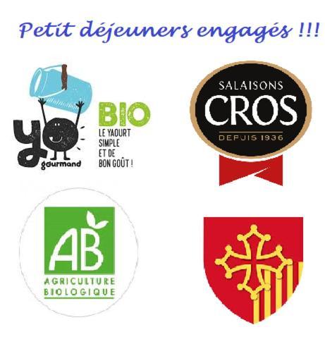 Hostellerie Du Grand Saint Antoine Albi Luaran gambar
